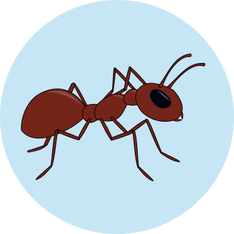 Cartoon ant