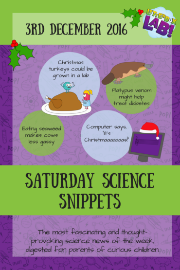 Saturday Science Snippets #4 – Happy December, Science Fans!