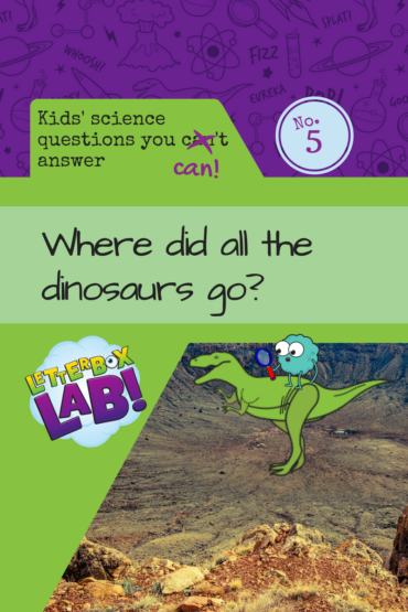 Where did all the dinosaurs go?