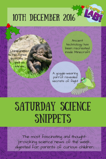 Saturday Science Snippets #5
