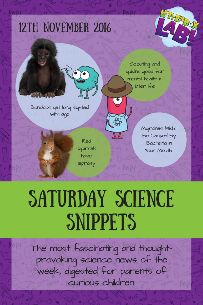 Bonobos get long sighted with age. Scouting and guiding are good for mental health later in life. Migraines might be caused by bacteria in your mouth. Red squirrels have leprosy.