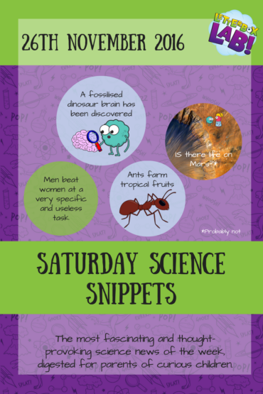 Saturday Science Snippets #3