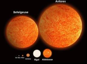 The Sun's size compared to other stars of the galaxy. From Letterbox Lab's "What is the Sun?"