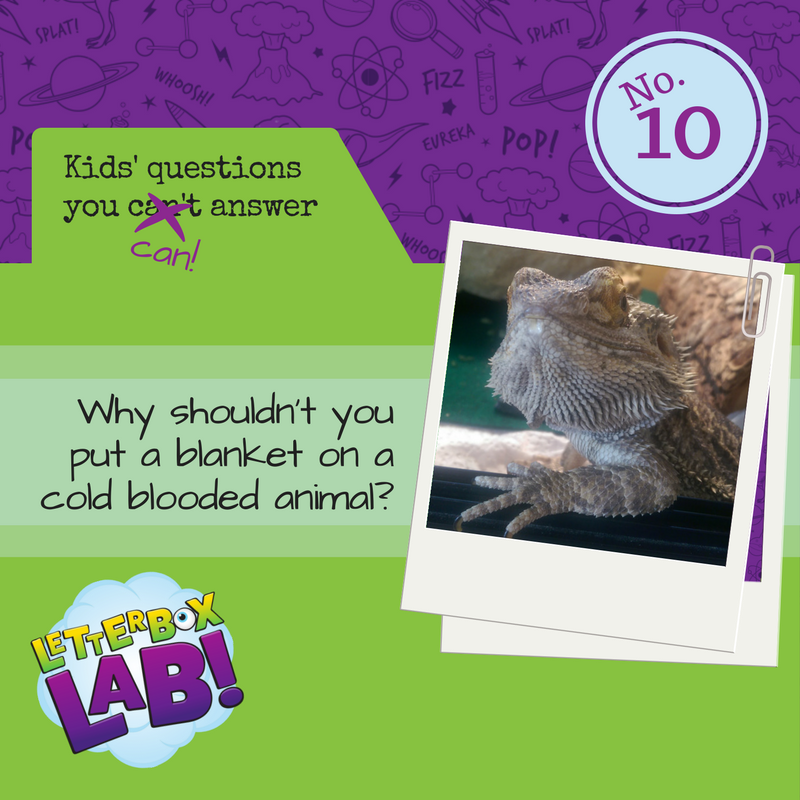 Why shouldn't you put a blanket on a cold blooded animal? - Letterbox Lab