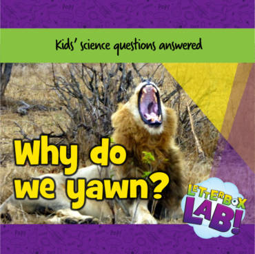 Why do we yawn?
