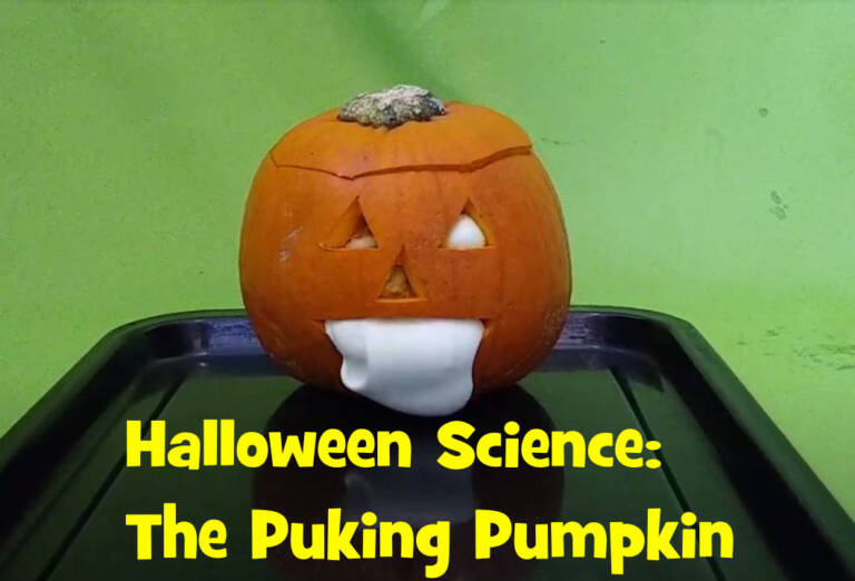 Pumpkin with foam coming from mouth.